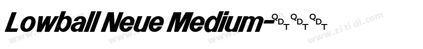 Lowball Neue Medium字体转换